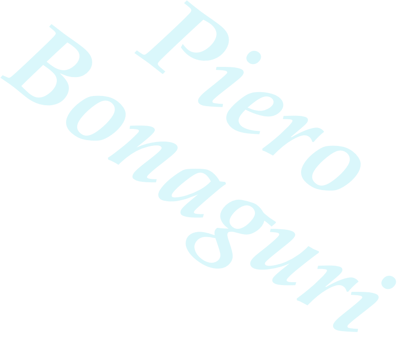 Piero Bonaguri 